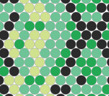 Load image into Gallery viewer, Snakeskin template *digital file